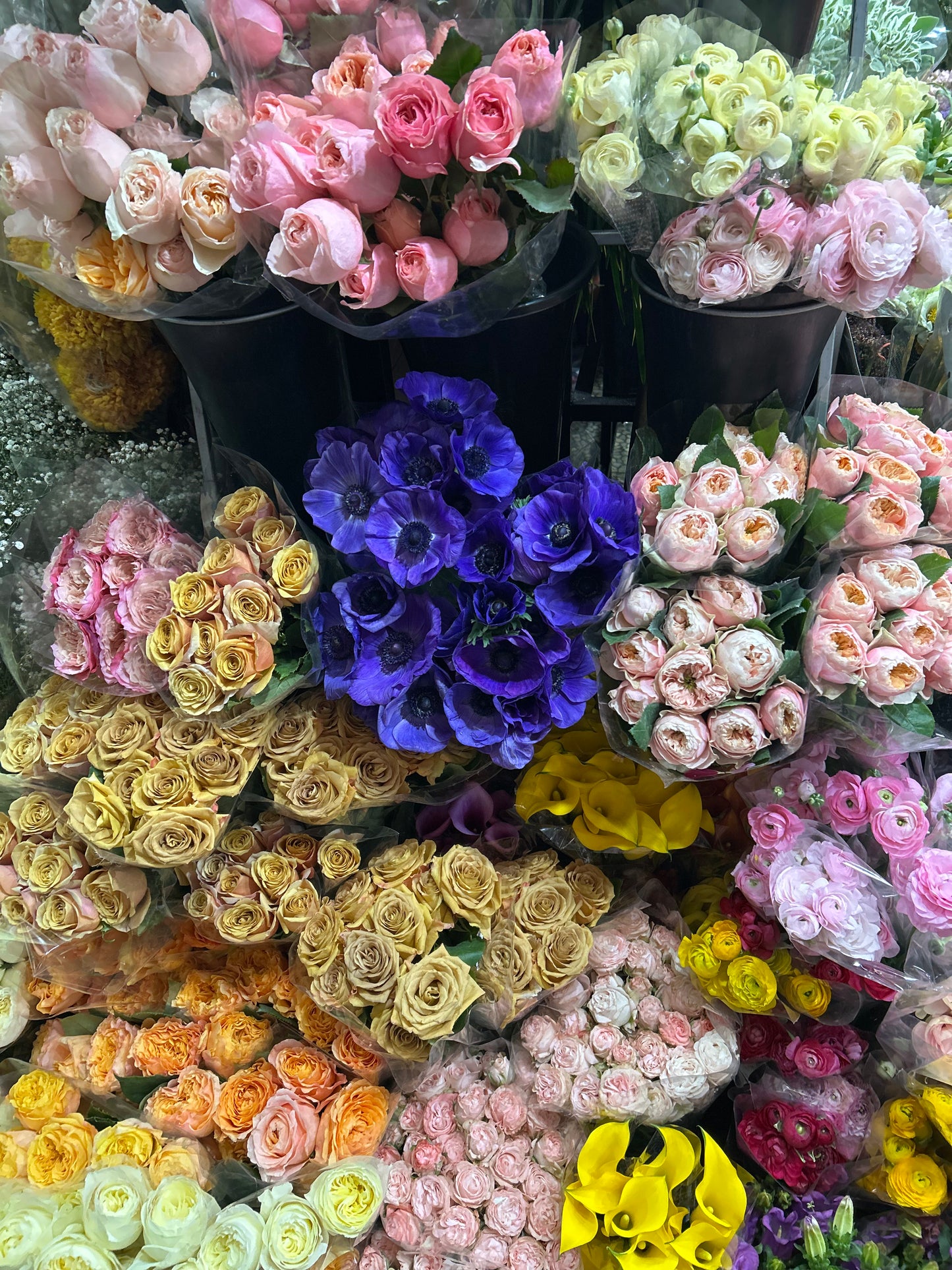 Tour floral por Mercado de Jamaica