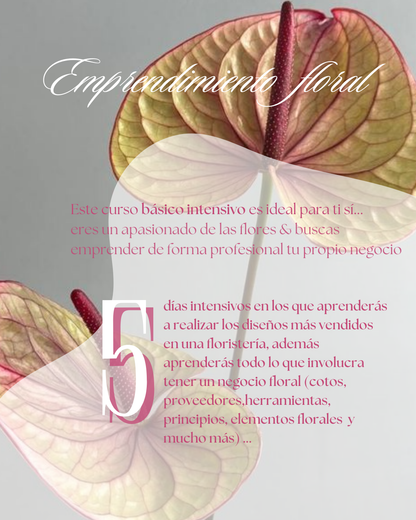 Curso Intensivo Floral de 5 días