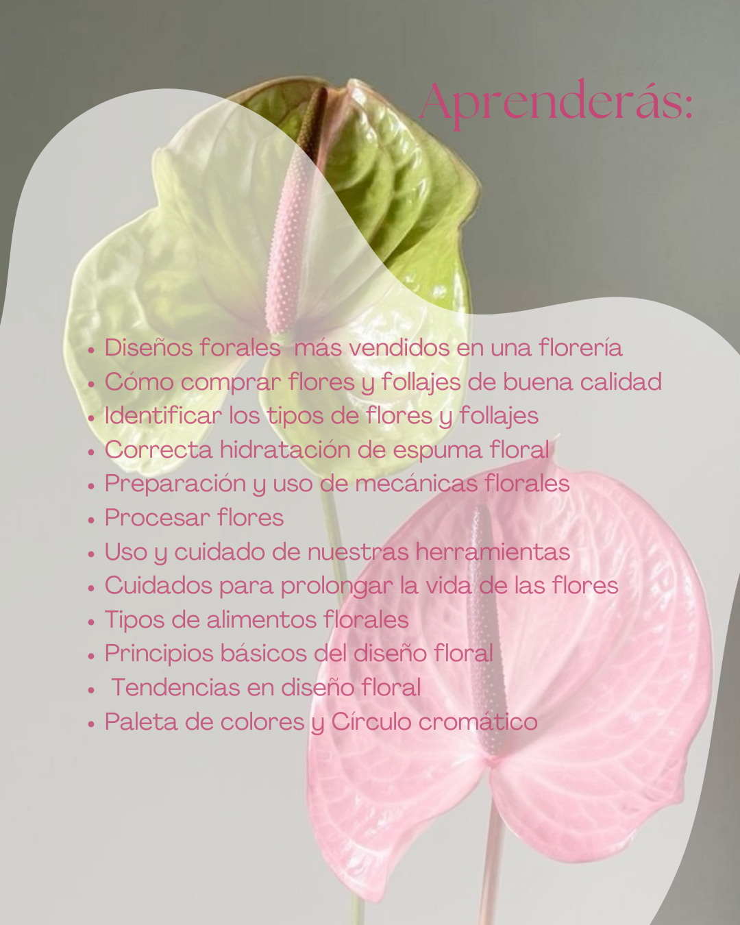 Curso Intensivo Floral de 5 días