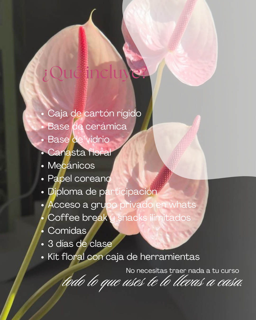 Curso Intensivo Floral de 5 días
