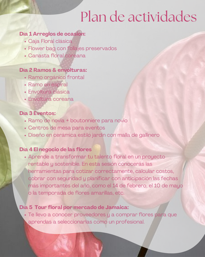 Curso Intensivo Floral de 5 días