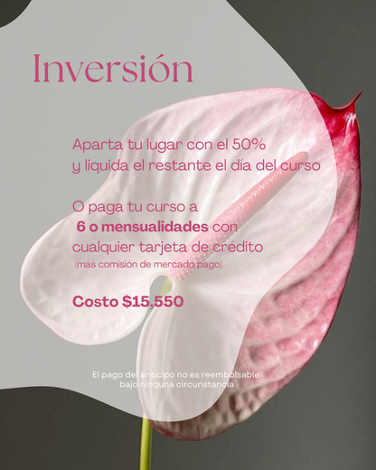 Curso Intensivo Floral de 5 días