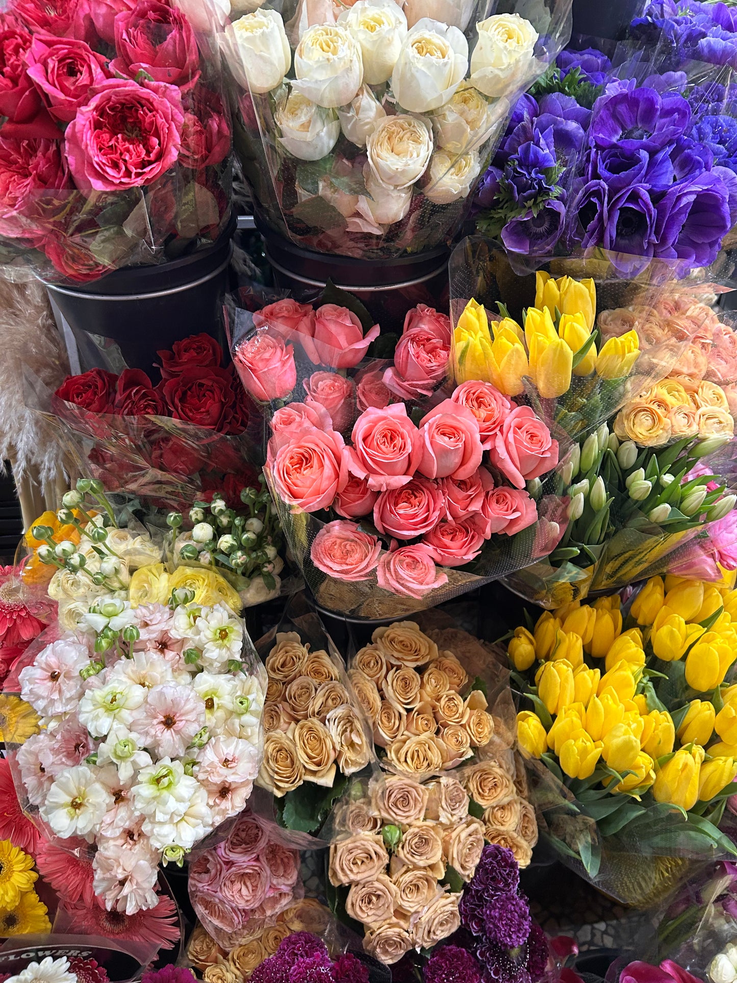 Tour floral por Mercado de Jamaica