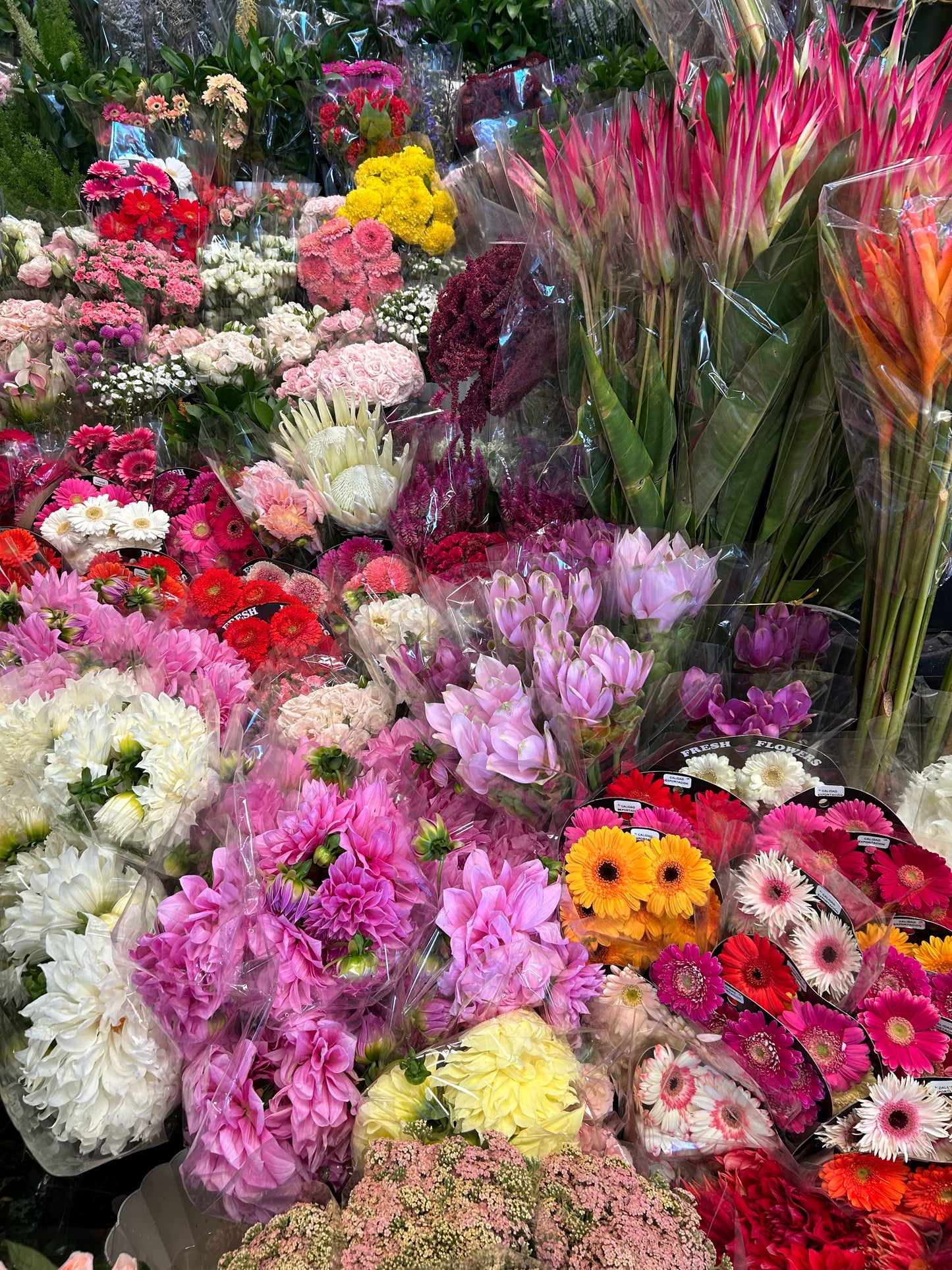 Tour floral por Mercado de Jamaica