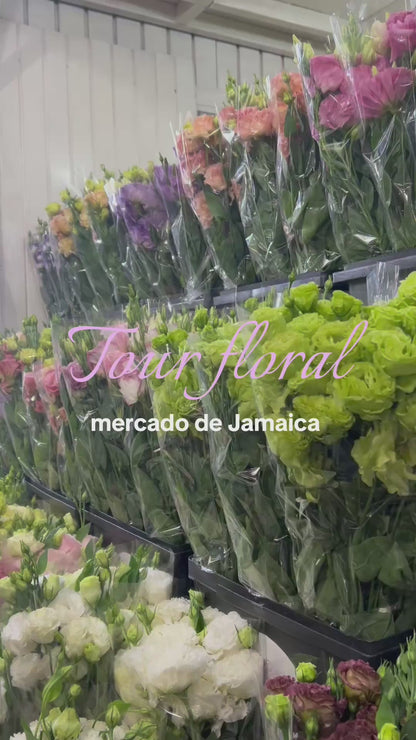Tour floral por Mercado de Jamaica