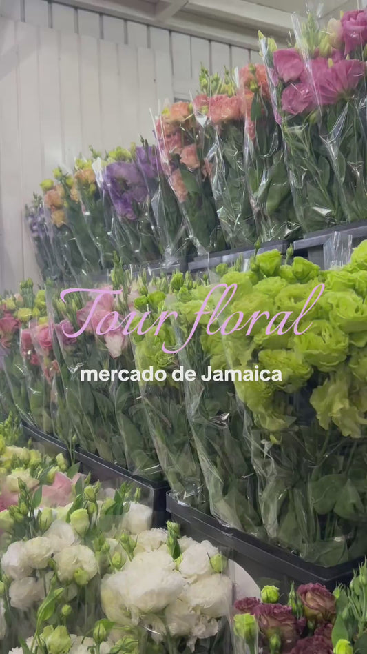Tour floral por Mercado de Jamaica